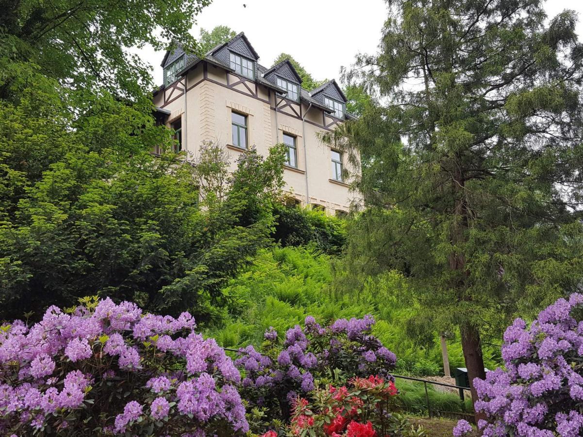 Art-House Kurort Rathen Apartment Екстериор снимка